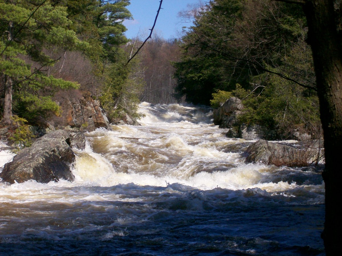 Elwood, NY - St. Lawrence County - Wikipedia